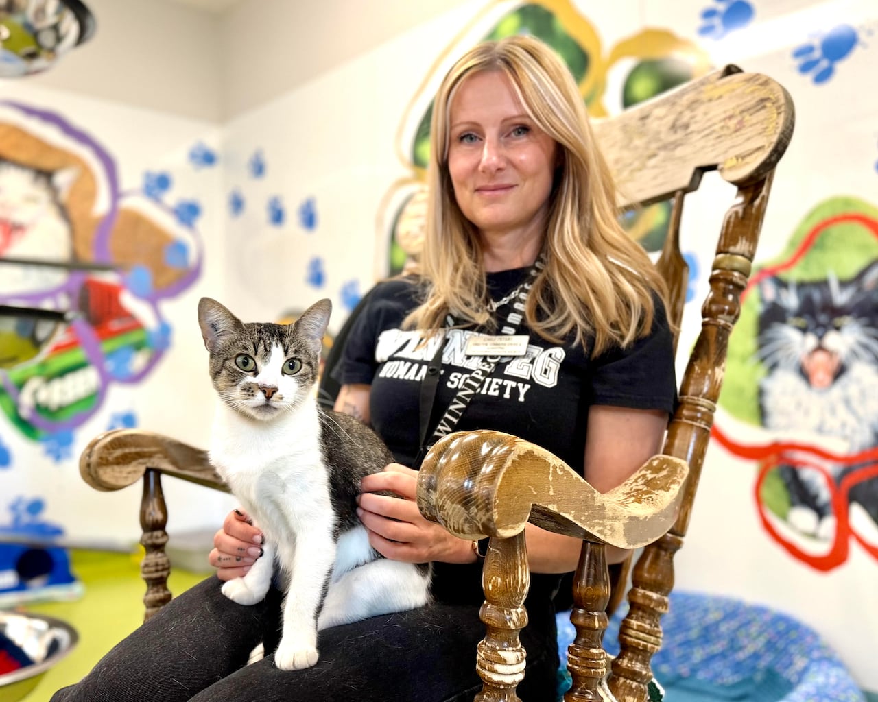 The woman sitting on a chair holding a cat.