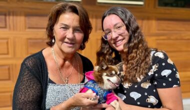 Winnipeg animal rescue groups say more owners surrendering pets, unable to afford costs