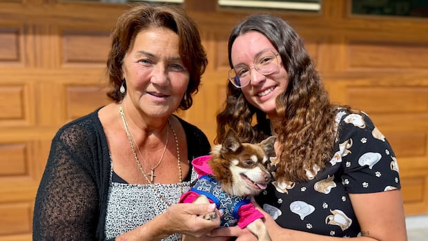 Winnipeg animal rescue groups say more owners surrendering pets, unable to afford costs