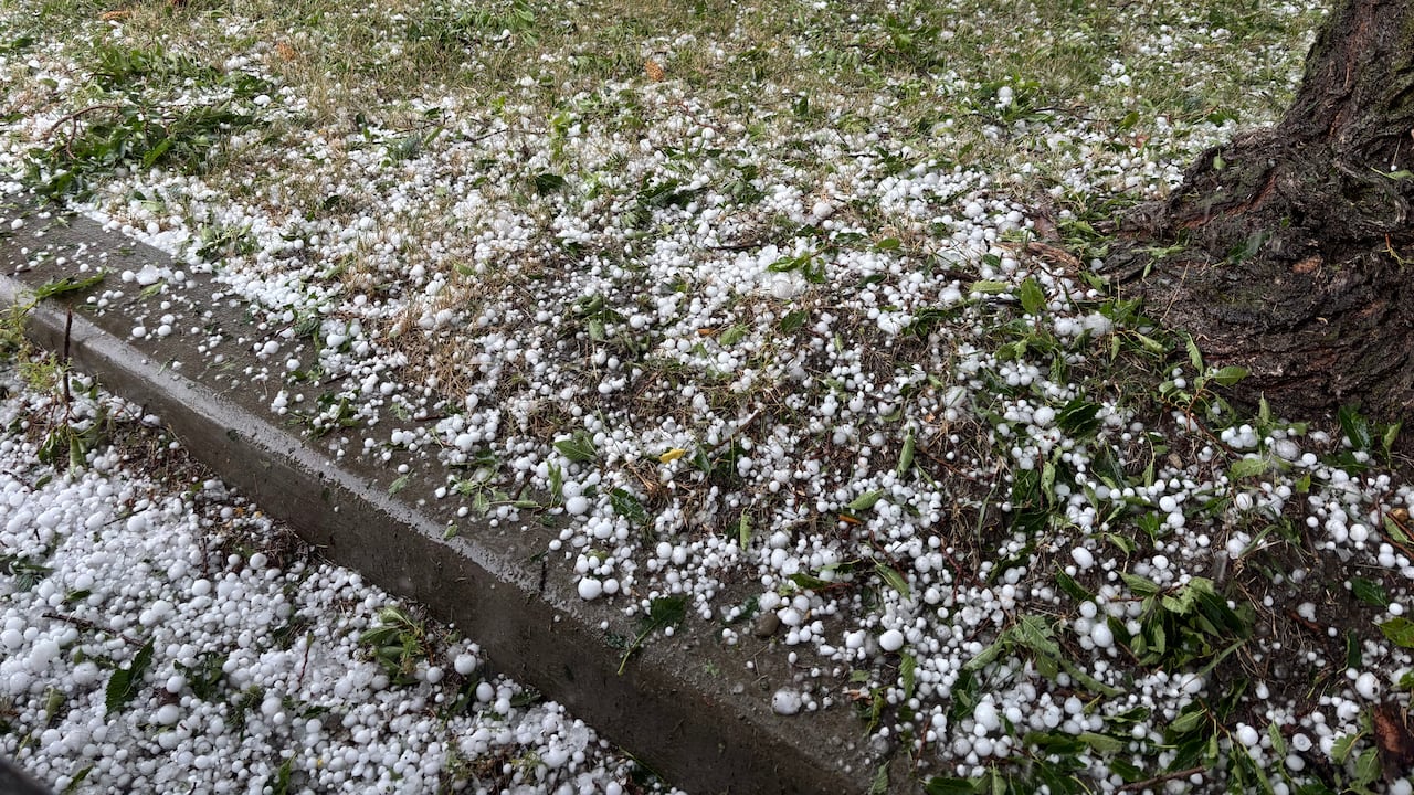Hail on grass.