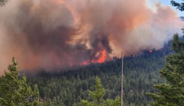 What you need to know about B.C. wildfires on Aug. 12