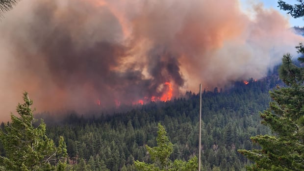 What you need to know about B.C. wildfires on Aug. 12