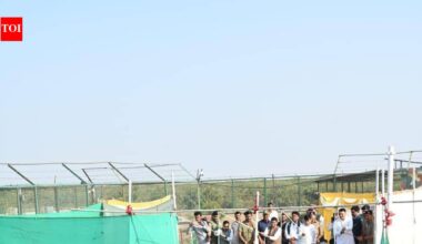40+ wolves to be released as Gujarat’s rewilding project takes root