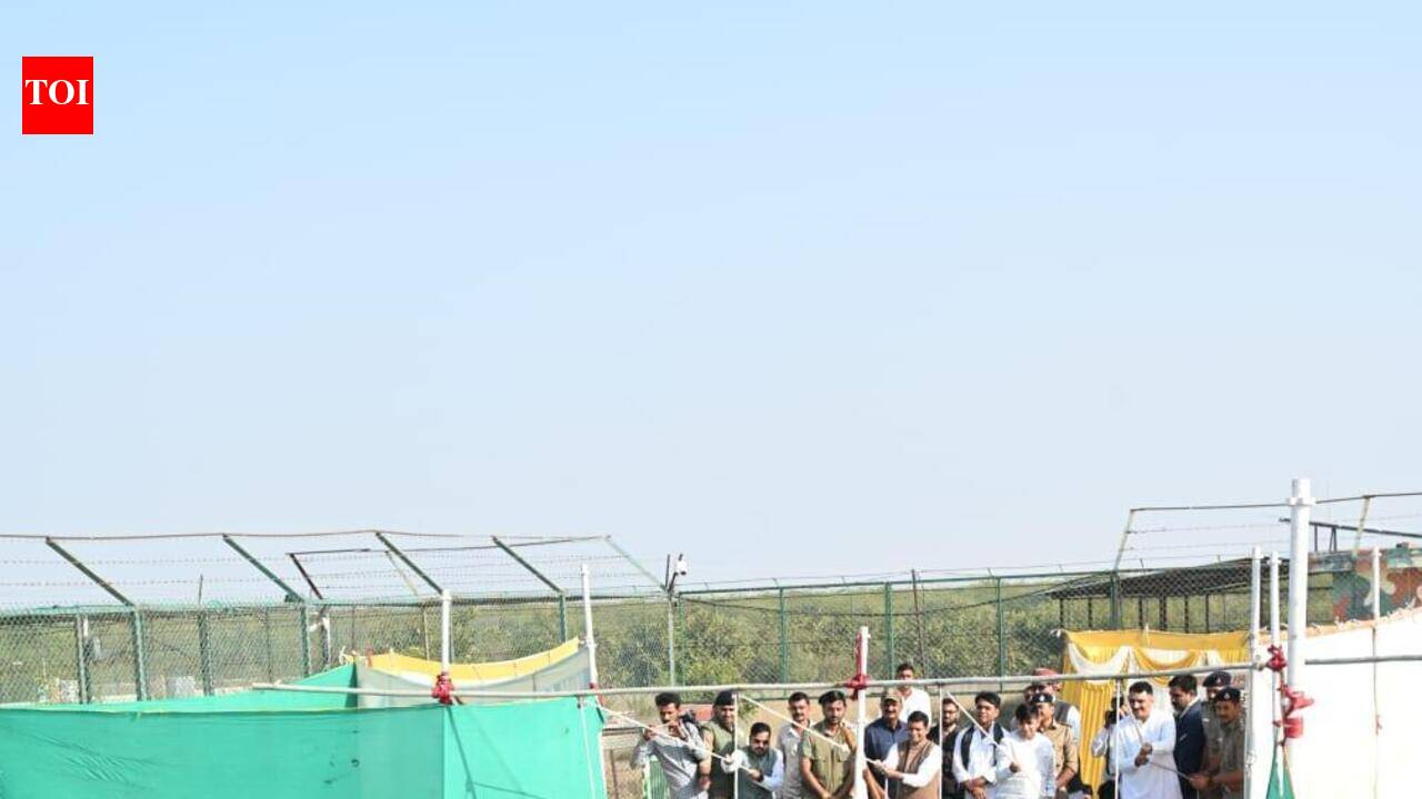 40+ wolves to be released as Gujarat’s rewilding project takes root