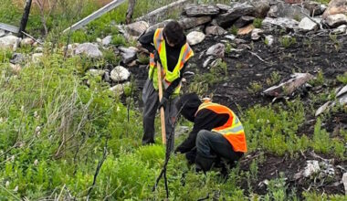 Government Helping Communities Affected by Wildfires Replant Trees