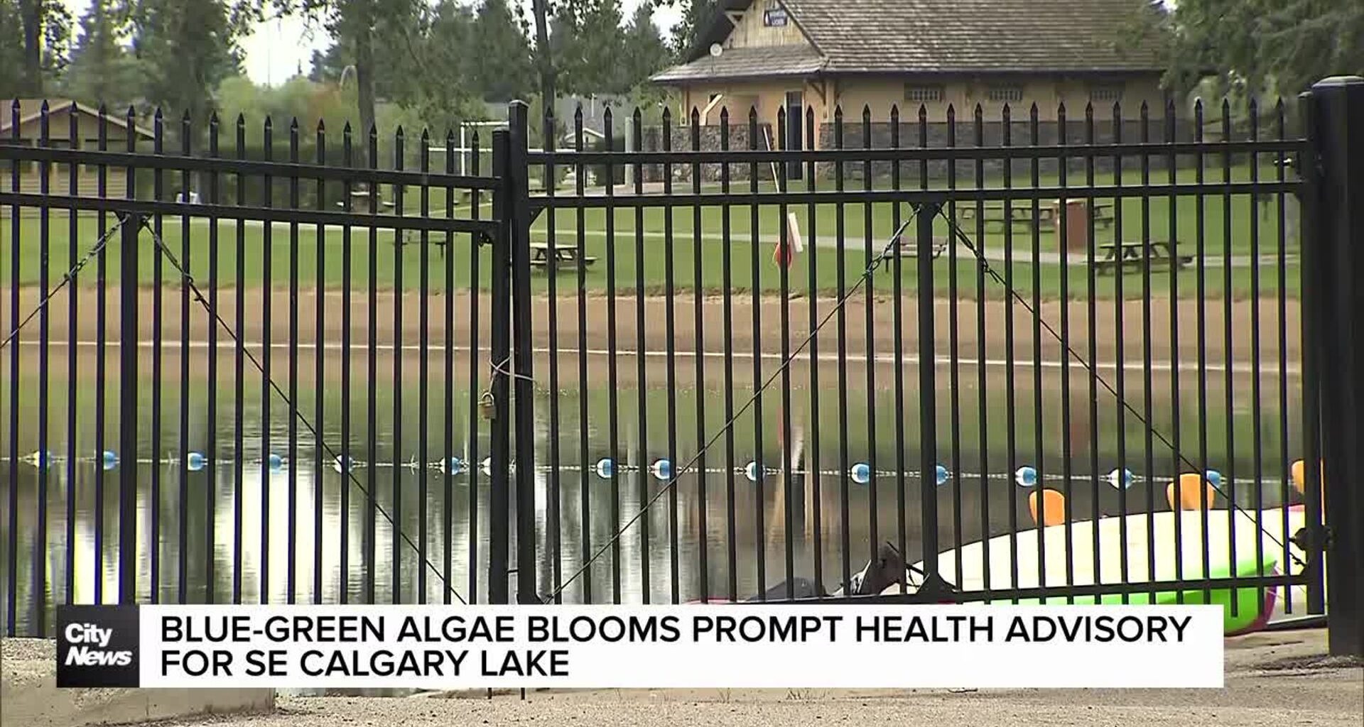 Blue-green algae blooms prompt health advisory for SE Calgary Lake