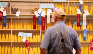 How Iowans feel about Trump's tariffs, Canada's treatment as Republicans vie for support