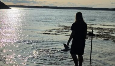 Meet Finn, the 15-year-old who saved a shark in New Brunswick