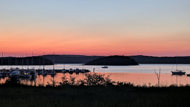Sunrises, sunsets and sunflowers: Enjoy these photos from around New Brunswick