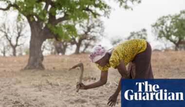 Spotlight on UN desertification summit as it mulls how to spend $12bn war chest | Desertification