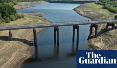 UK government ‘irresponsible’ for not publishing emergency drought plans | Drought