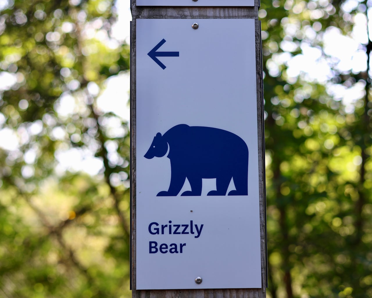 A sign depicting a bear.