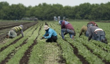 P.E.I. declines Ottawa's offer to let rural employers hire more temporary foreign workers
