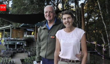 Australian couple bought a cattle farm and planted 34,000 trees to restore rainforest for koalas and other wildlife | World News