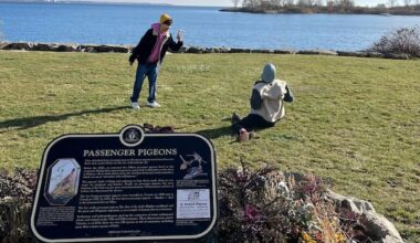 Heritage Toronto showcases city's 'unknown' history through social media video series