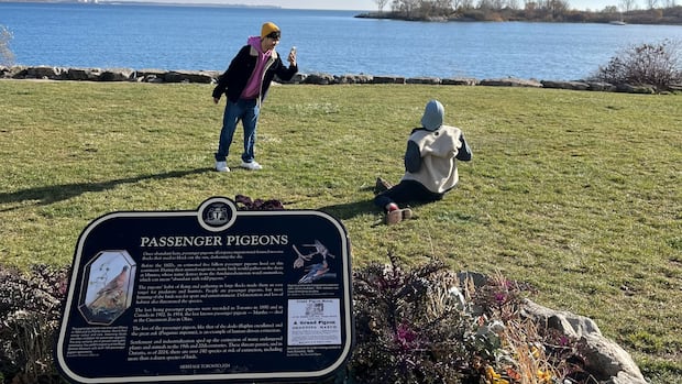 Heritage Toronto showcases city's 'unknown' history through social media video series