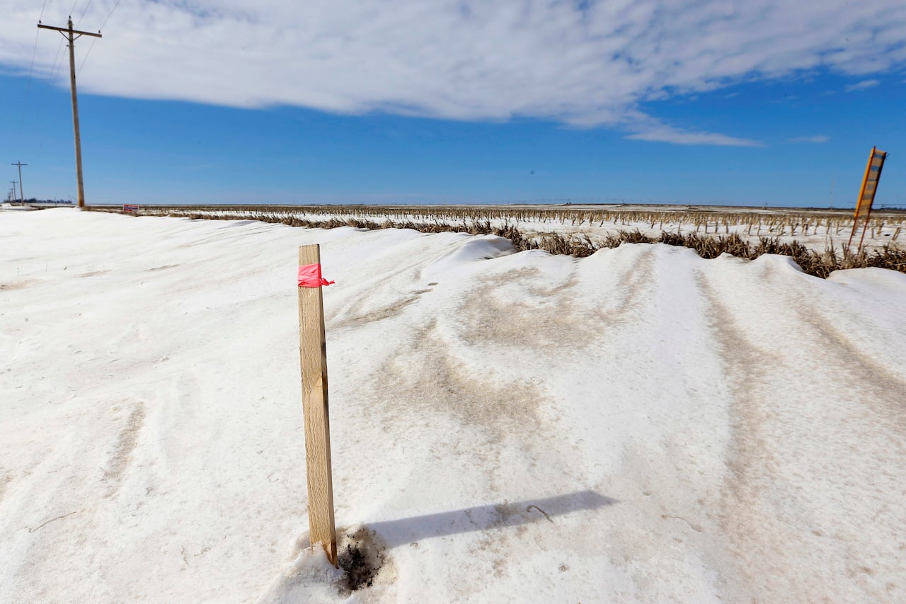 A wooden stick in a snowy field.