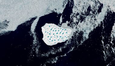 An Uncommon Drifter in the Denmark Strait