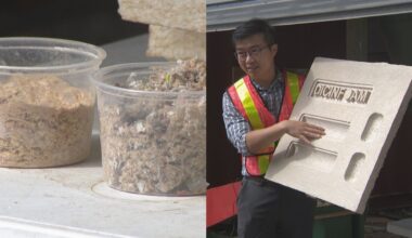 Second life: Vancouver plant turns forestry waste into packaging foam