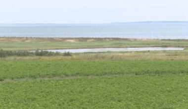 Mill River Resort wins contract to build new golf course in Summerside