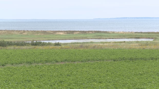 Mill River Resort wins contract to build new golf course in Summerside