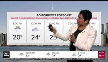 Wet, stormy weekend in store for Toronto
