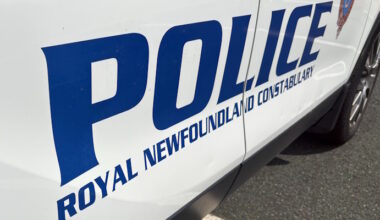Man Charged After Security Guard was Punched in the Face at the Avalon Mall