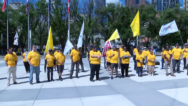 2nd brother who attacked Calgary bus driver gets 3-year sentence