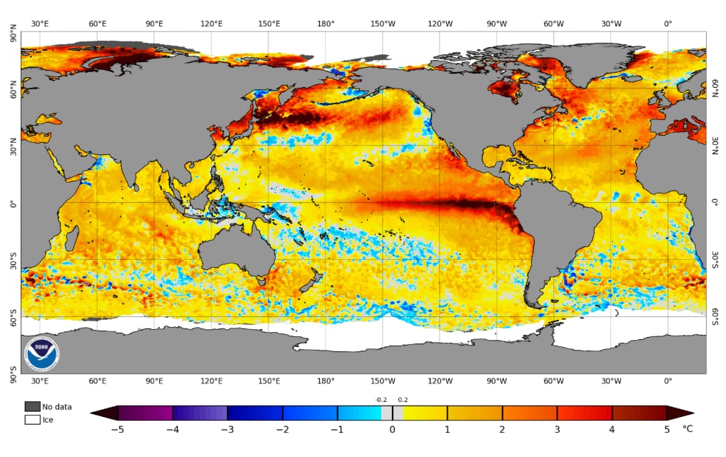 A satellite map of the world using a yellow, orange, red and brown colour gradient to demonstrate warmer than average sea surface temperatures.