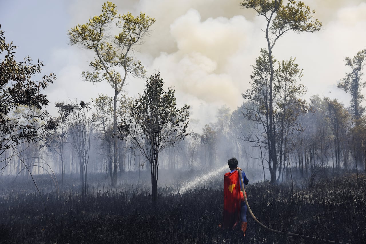 A wide shot of a young man wearing a blue bodysuit and red cape standing with his back turned, as he sprays a fire house toward burning brush and trees. A smoke plume can be seen rising in the background amid the blackened tree trunks.