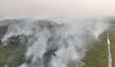 Indonesian police arrest 72 people suspected of starting forest fires – Winnipeg Free Press