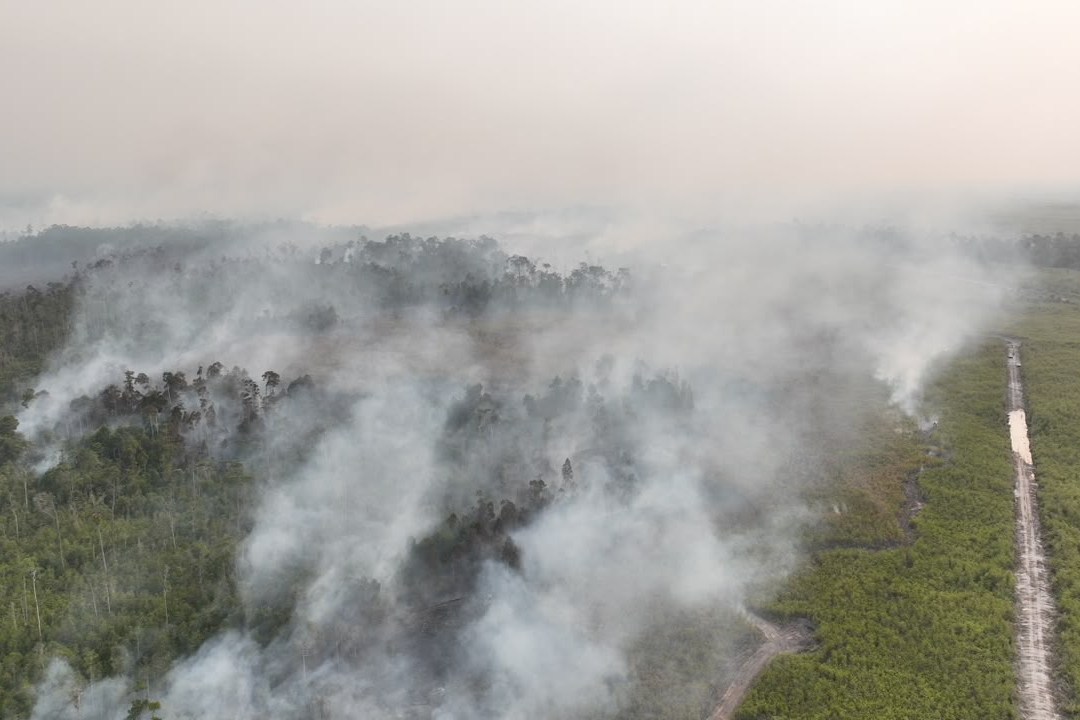 Indonesian police arrest 72 people suspected of starting forest fires – Winnipeg Free Press