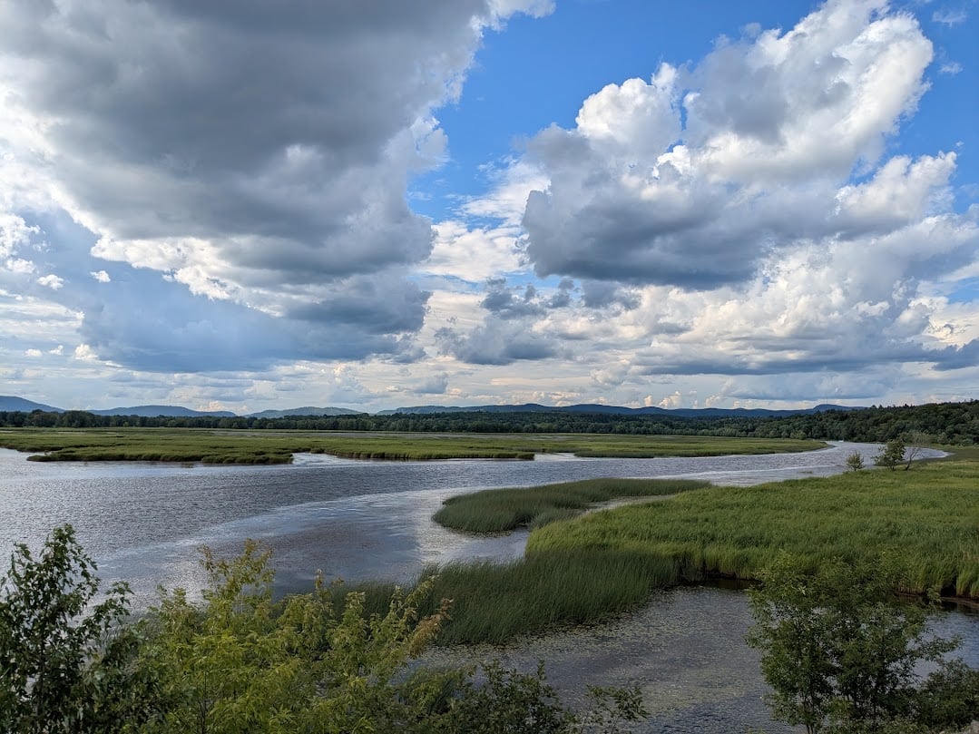 Clouds sprawl across a blue sky over a marsh broken up by sections of grass.