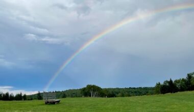 Beautiful moments: Enjoy these photos from around New Brunswick