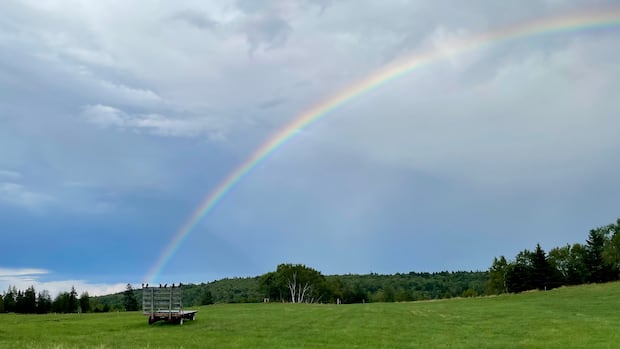 Beautiful moments: Enjoy these photos from around New Brunswick