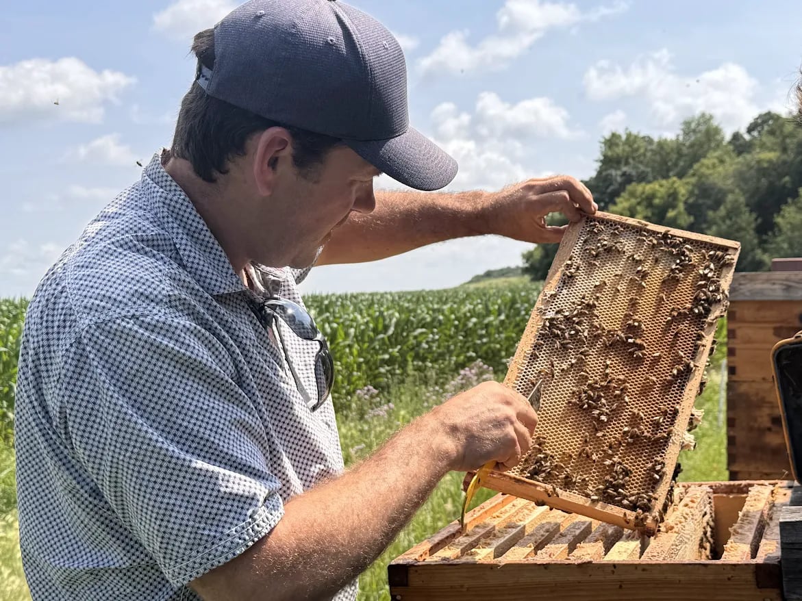 A beekeeper attending to his bee colony in a field