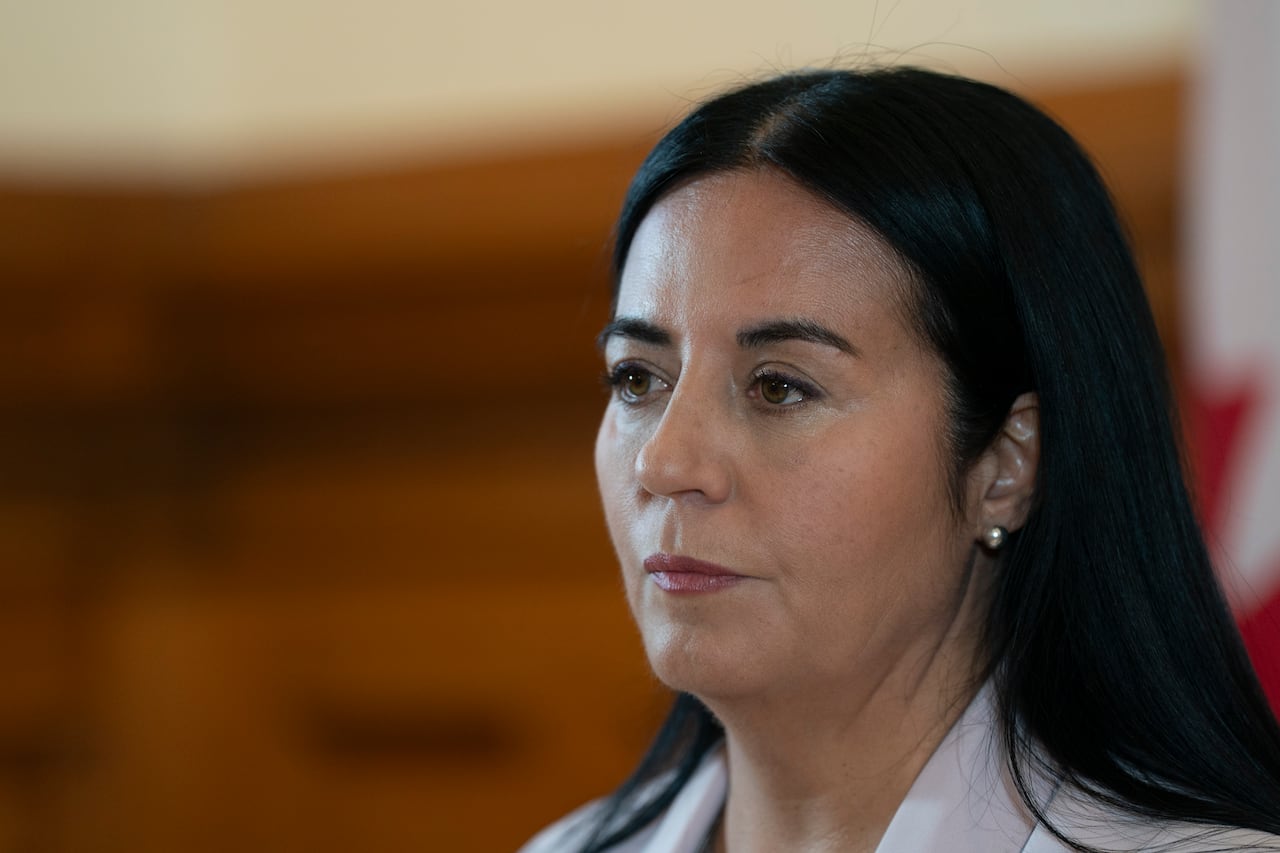A close up of a woman with long dark hair.