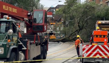 Downed tree blocks traffic in Toronto's Moss Park neighbourhood