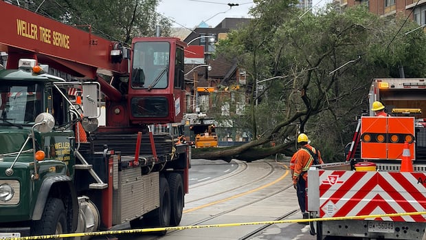 Downed tree blocks traffic in Toronto's Moss Park neighbourhood