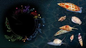 Evolutionary arm race in Cenozoic seas shaped modern diversity of marine snails