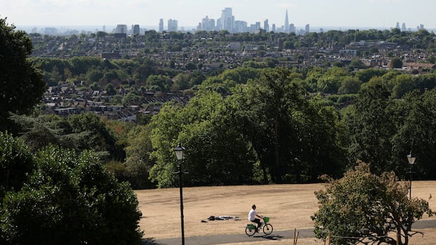 London is famous for its great trees. More than 70% are at risk due to climate change, research finds
