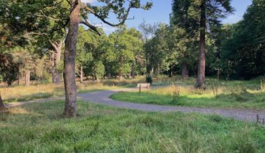 Edinburgh study finds woodland improvements reduce antidepressant use