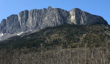 Hiker dies falling from Mount Yamnuska in Kananaskis Country