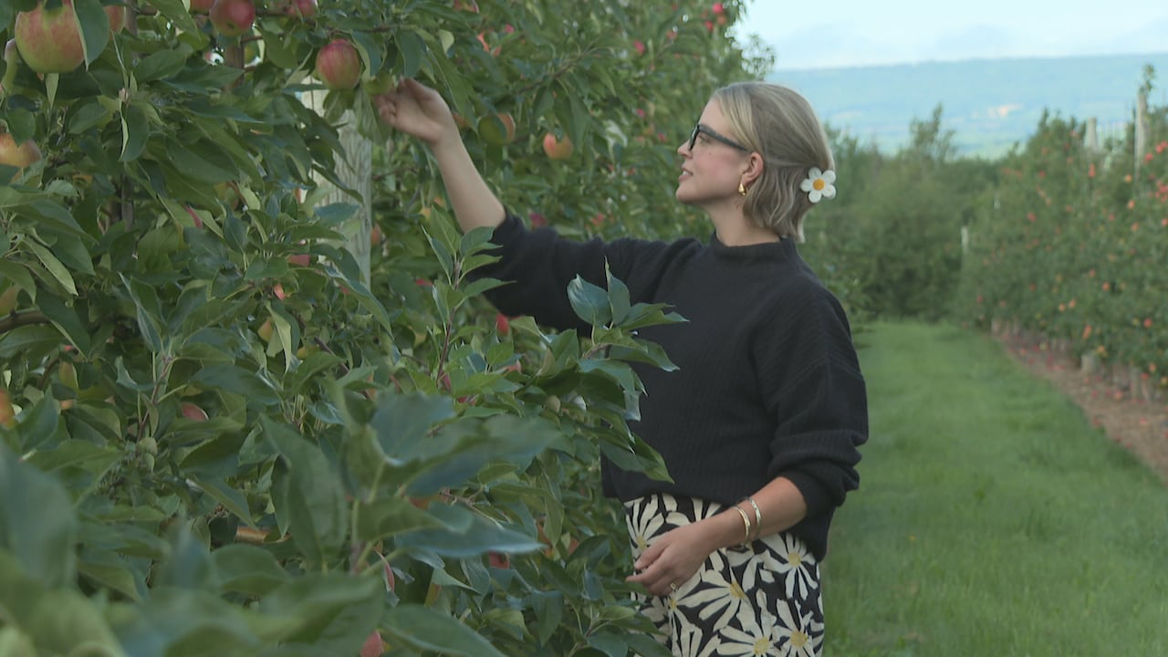 A woman with her arm streched out and up, grabbing a small apple on a tree.