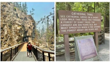 Search for B.C.'s best roadside attraction: Semifinal 1, Othello Tunnels vs. Cathedral Grove