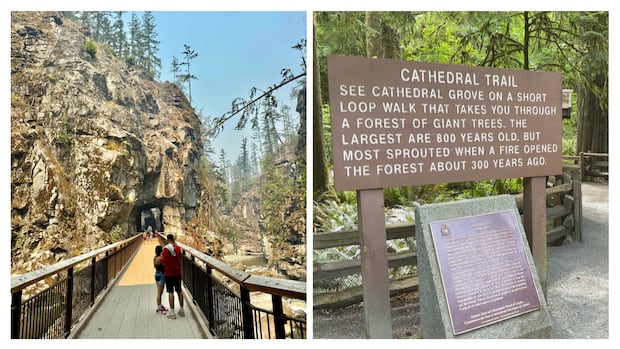 Search for B.C.'s best roadside attraction: Semifinal 1, Othello Tunnels vs. Cathedral Grove