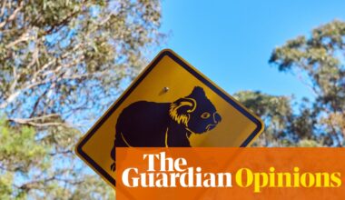 NSW’s koala national park will protect threatened species and cap logging. Could the Greens really block it? | Adam Morton
