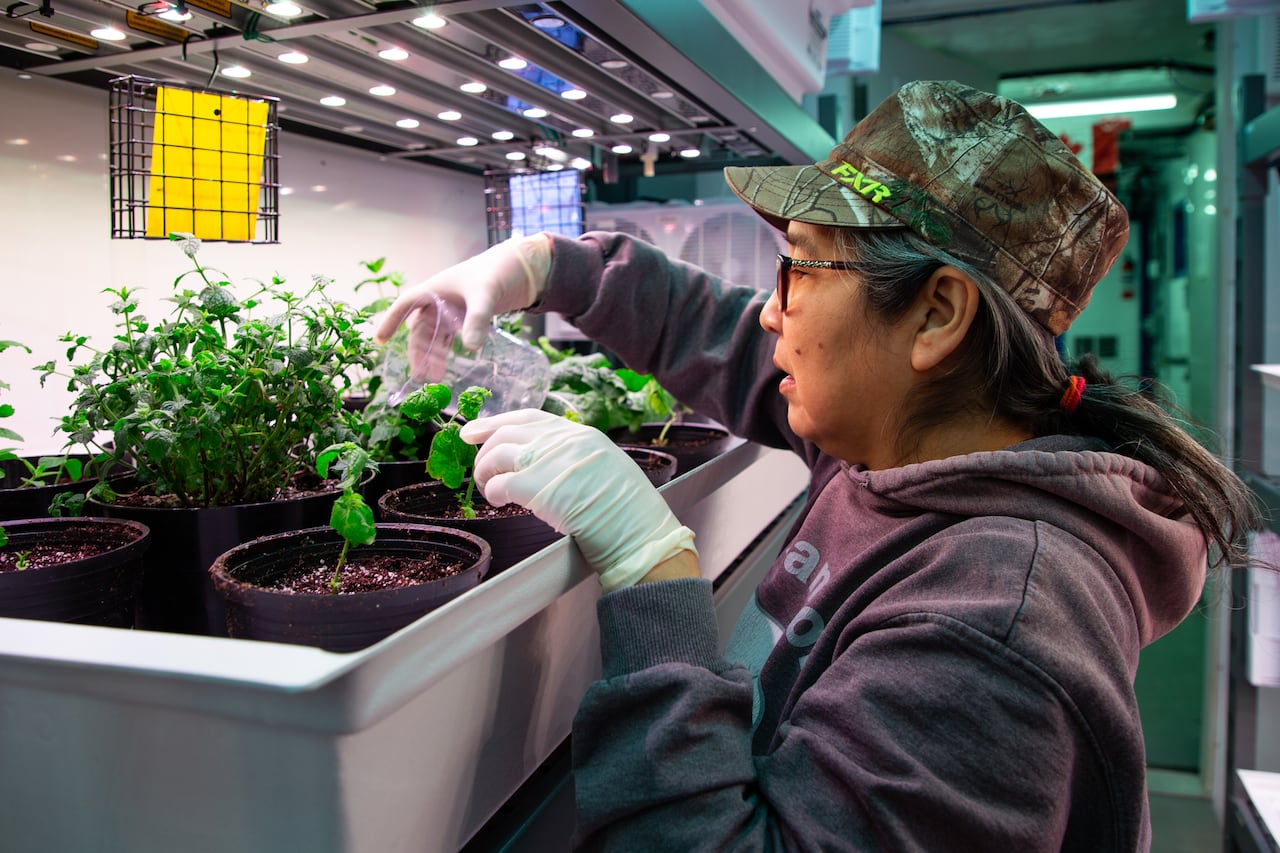 Betty Kogvik is a greenhouse technician in Gjoa Haven, Nunavut, growing some of the northernmost greenery in the world.