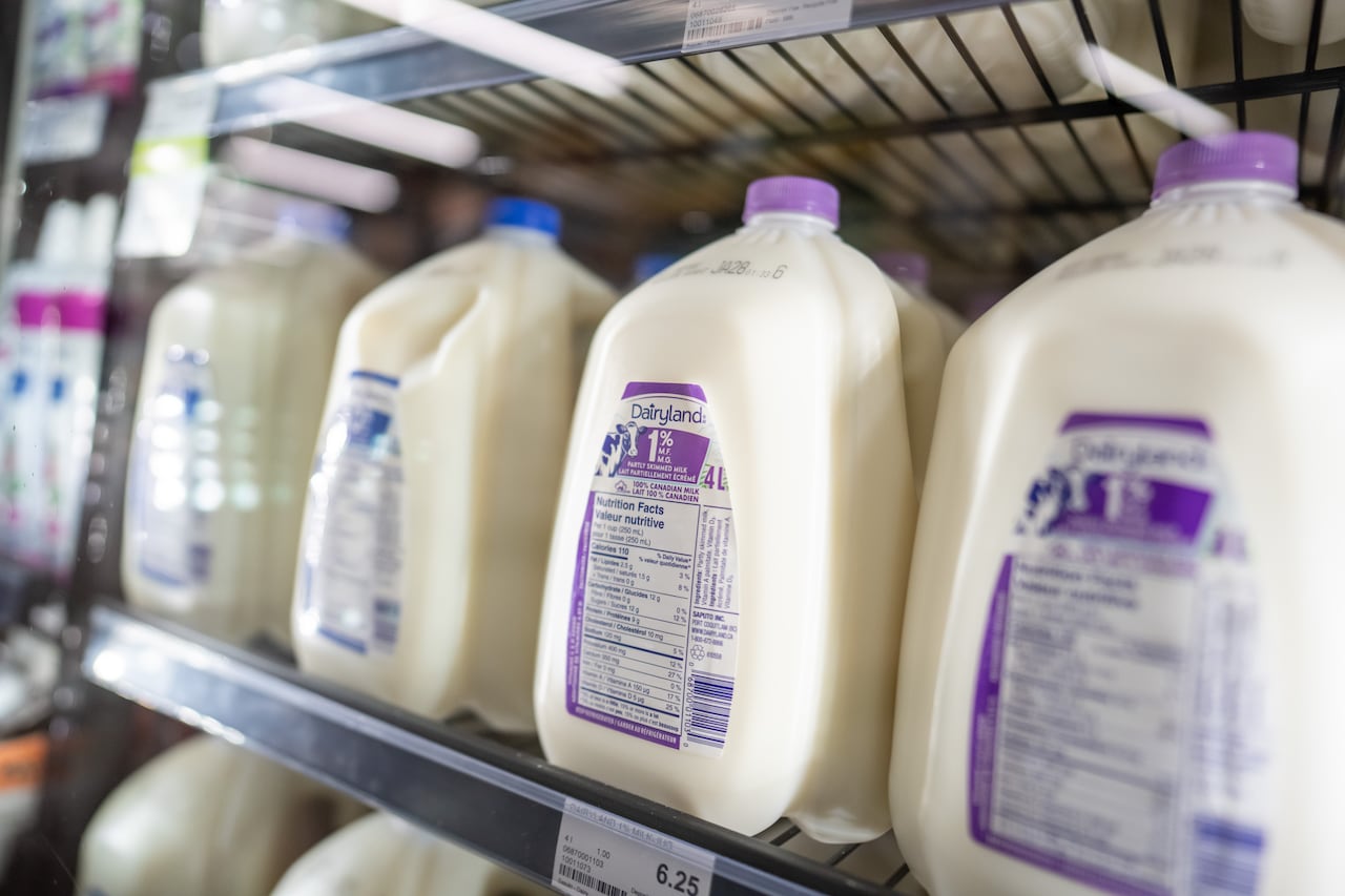 White jugs are lined up on a shelf.