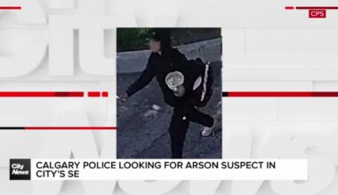 Young woman sought after garage fire destroys vehicle in SE Calgary